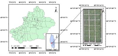 Reducing soil and leaf shadow interference in UAV imagery for cotton nitrogen monitoring